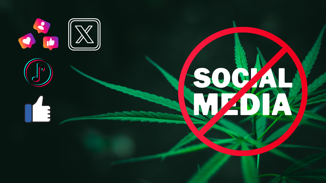 cannabis und instagram