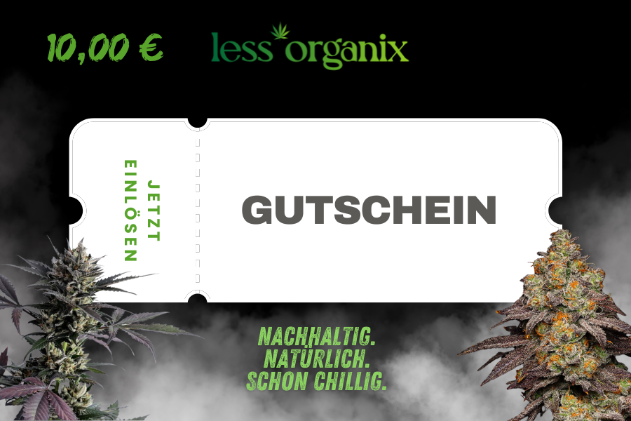 10 euro gutschein