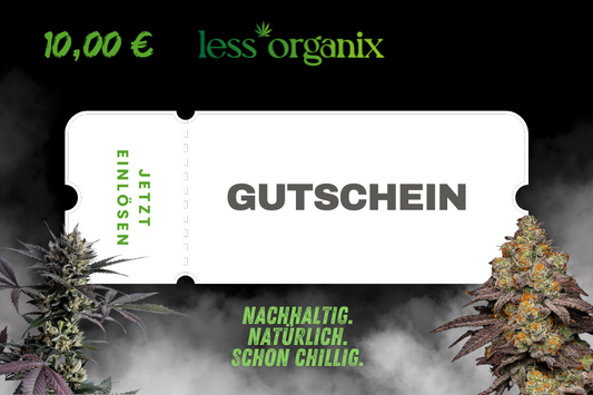 10 euro gutschein