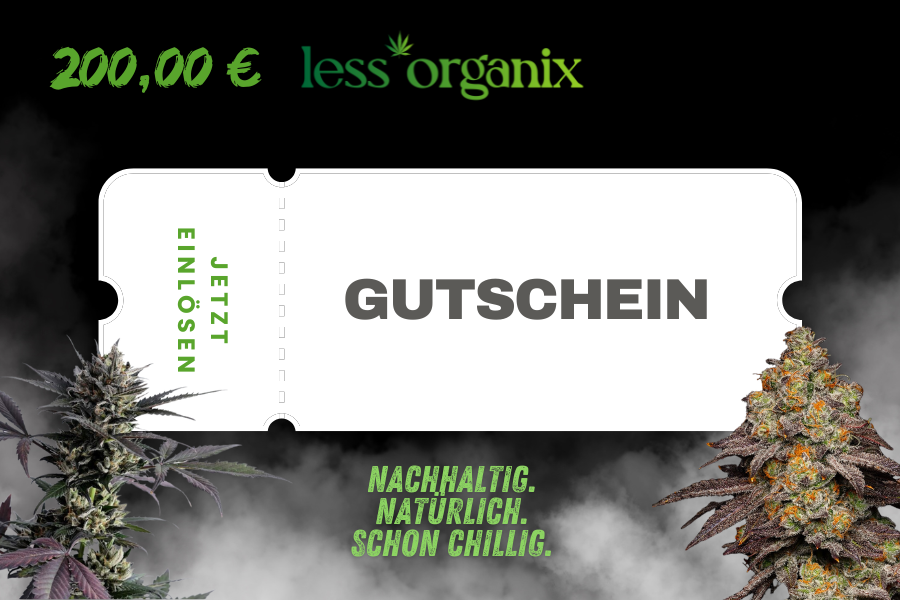 200 euro gutschein