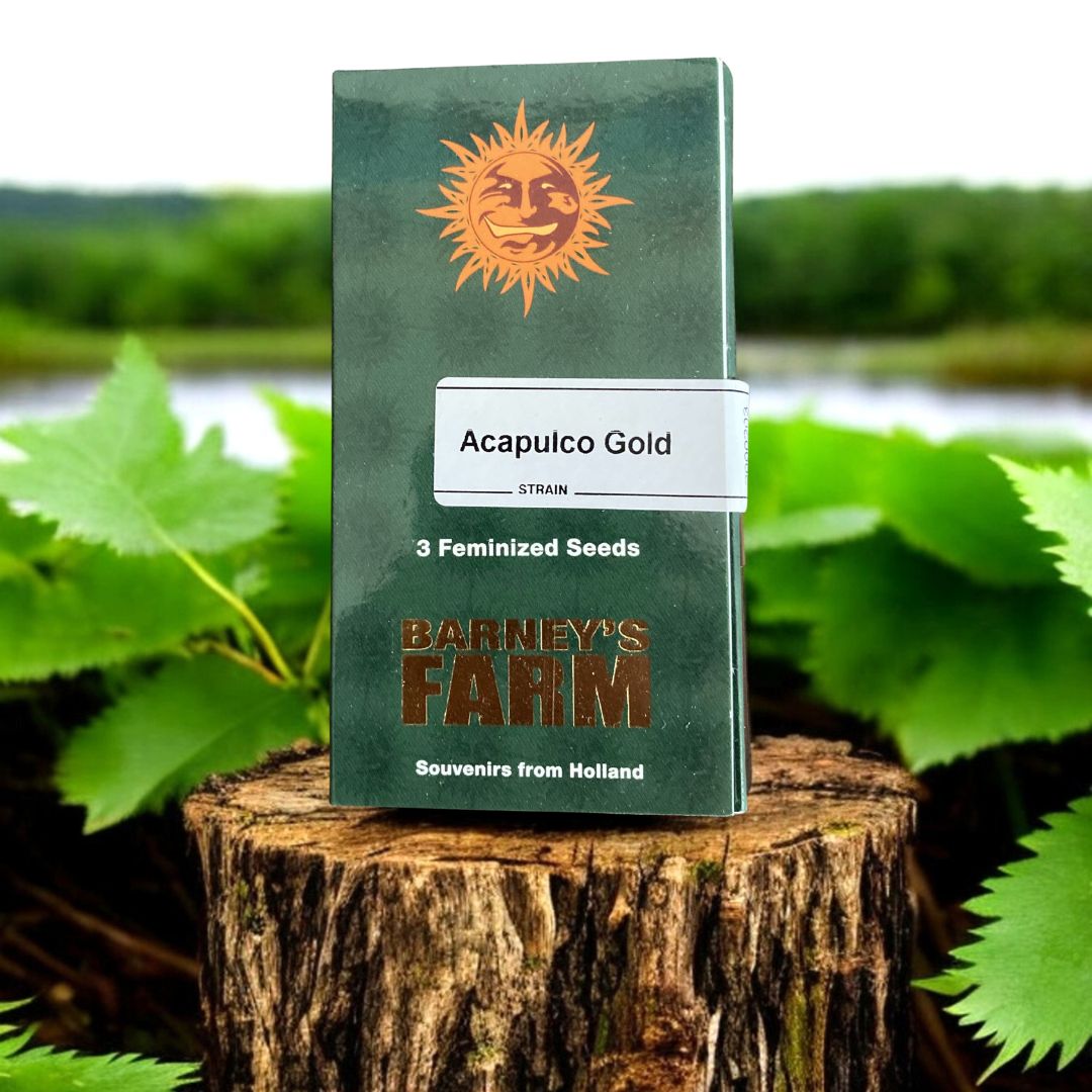 Acapulco Gold Seed Pack von Barneys Farm auf einem Baumstamm.
