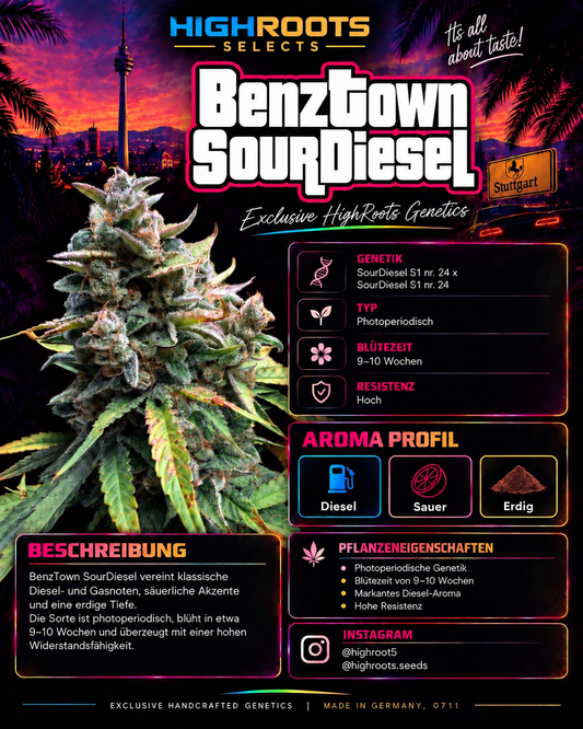 BenzTown SourDiesel feminisiert