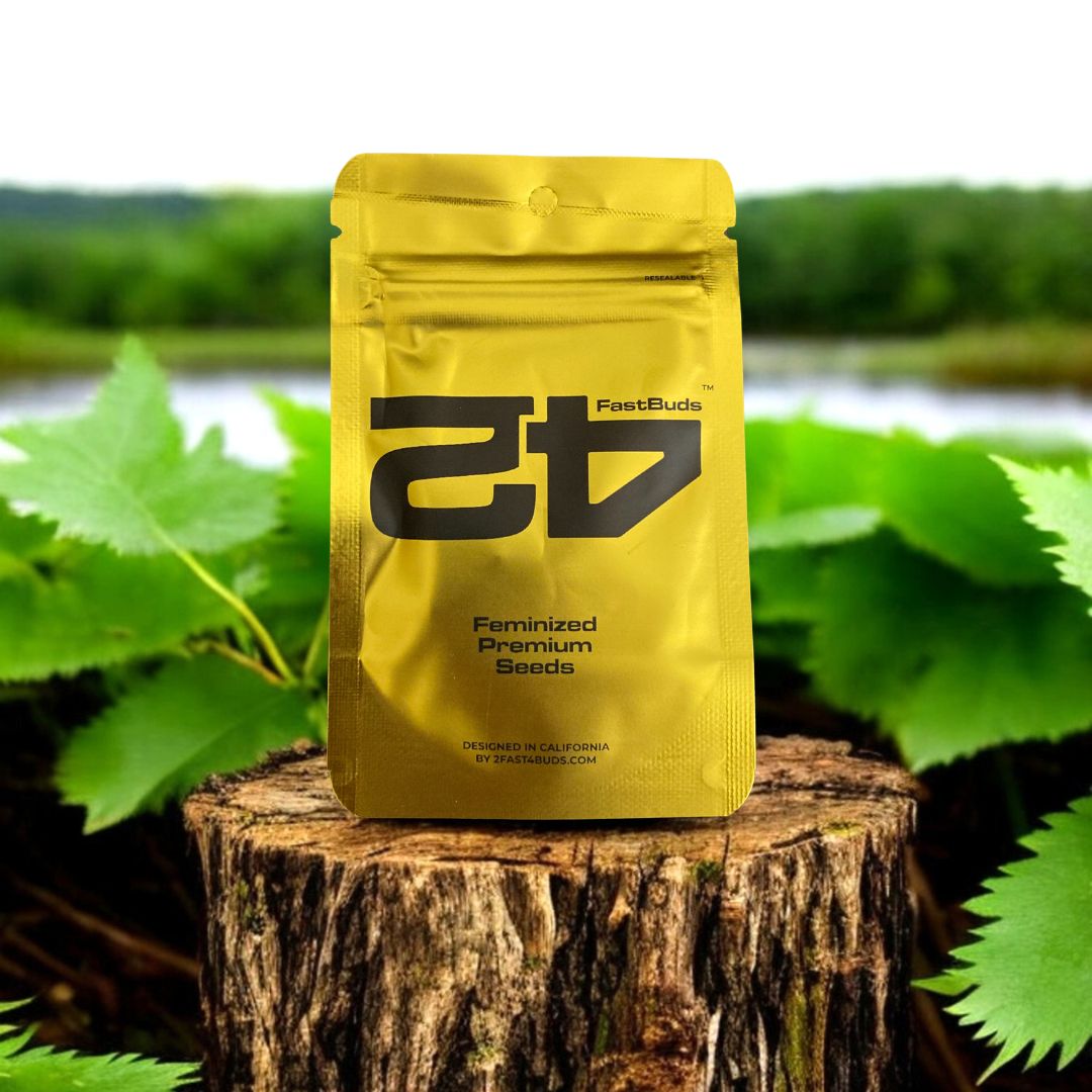 Feminized Premium Seeds - Fast Buds Pack auf einem Baumstamm