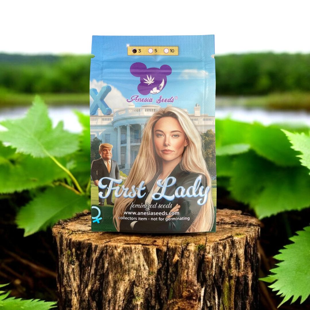 First Lady Seed Pack auf einem Baumstamm