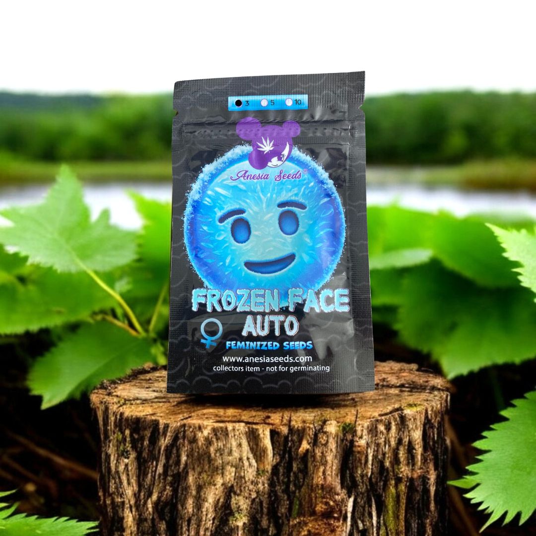 Frozen Face Auto Seed Pack von Anesia Seeds. Auf einem Baumstamm in der Natur.