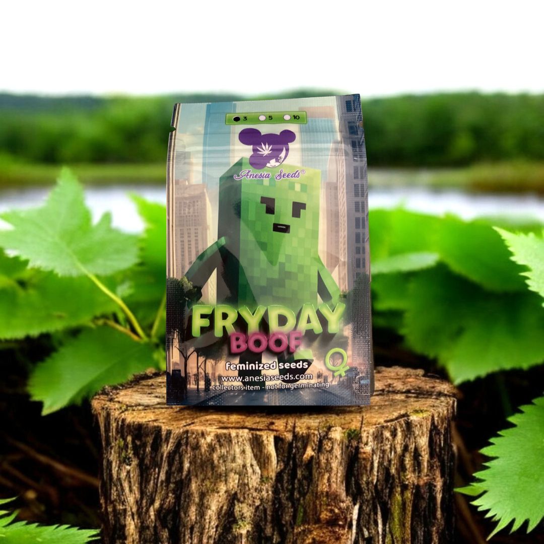 Fryday Boof Seed Pack - Anesia Seeds auf einem Baumstamm