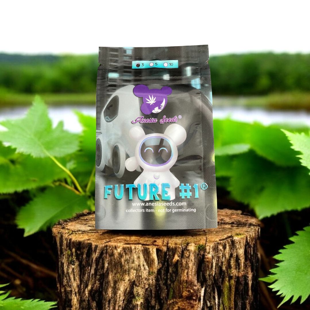 Future 1 Seed Pack von Anesia Seeds. Auf einem Baumstamm in der Natur.