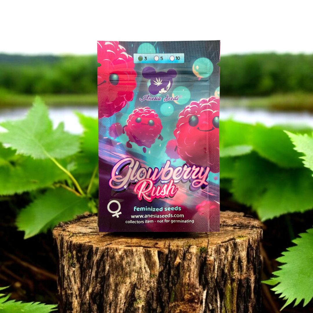 Glowberry Rush Seed Pack von Anesia Seeds auf einem Baumstamm