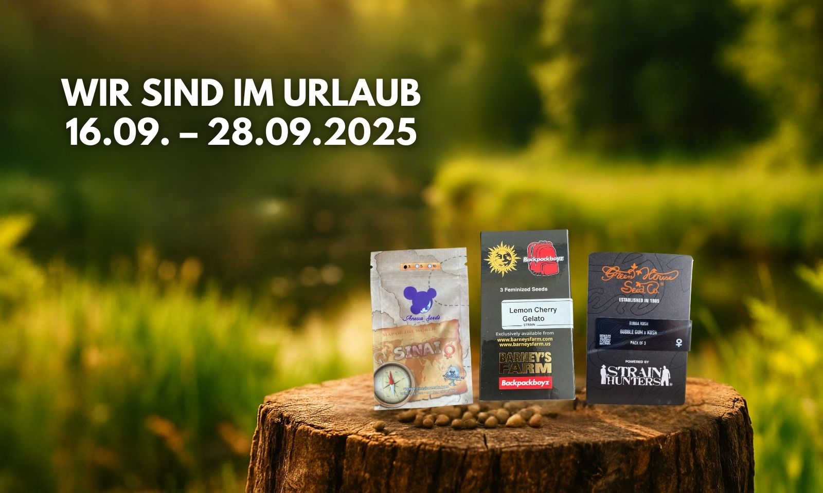 Less Organix – Kurze Urlaubspause