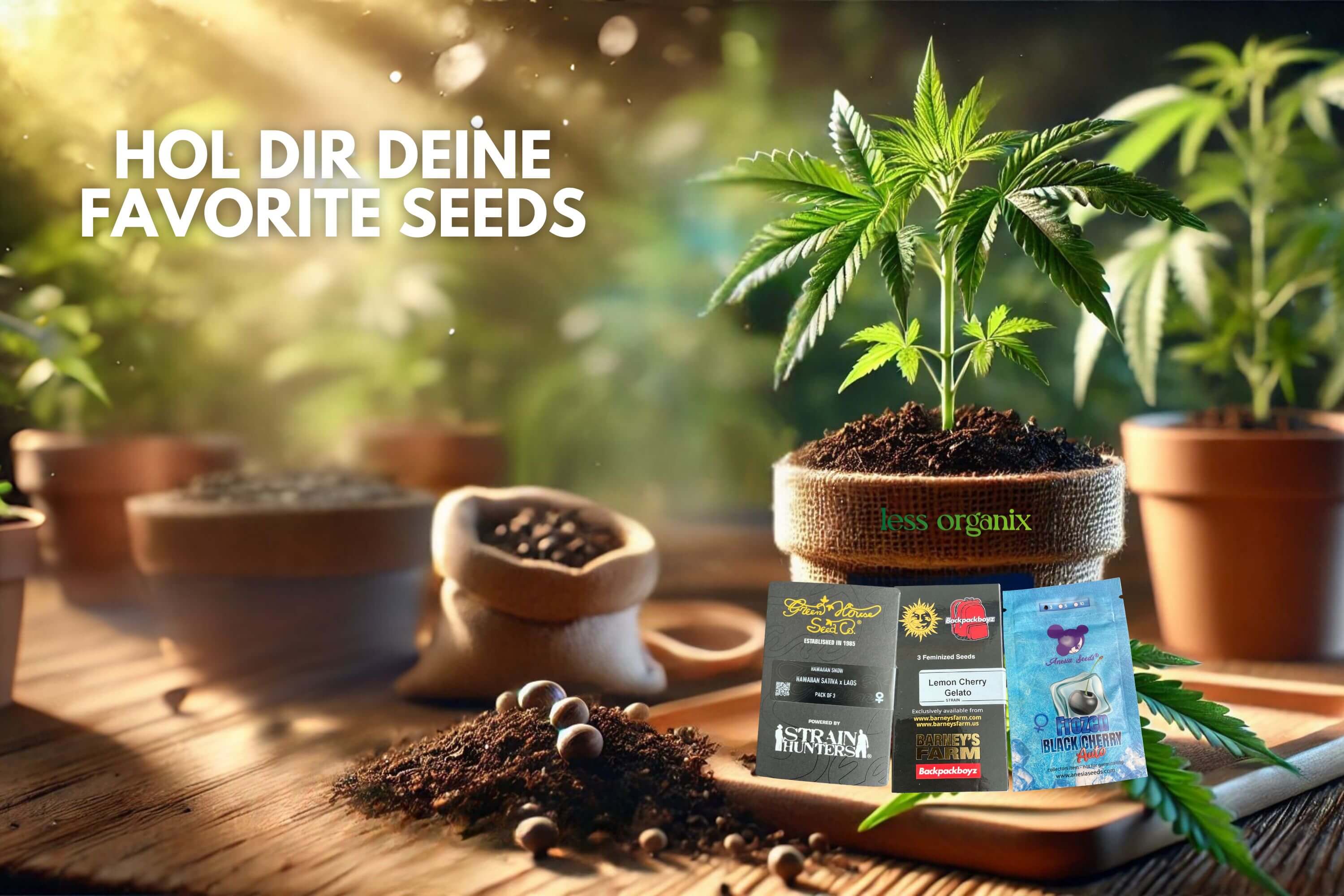 Less Organix – der klimafreundlichste Shop Deutschlands