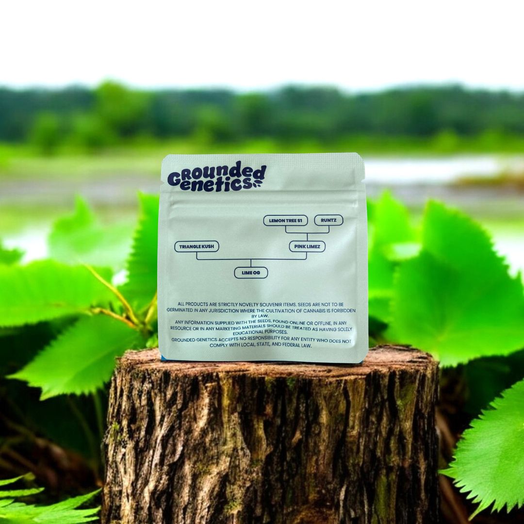 Lime OG Seed Pack Rückseite