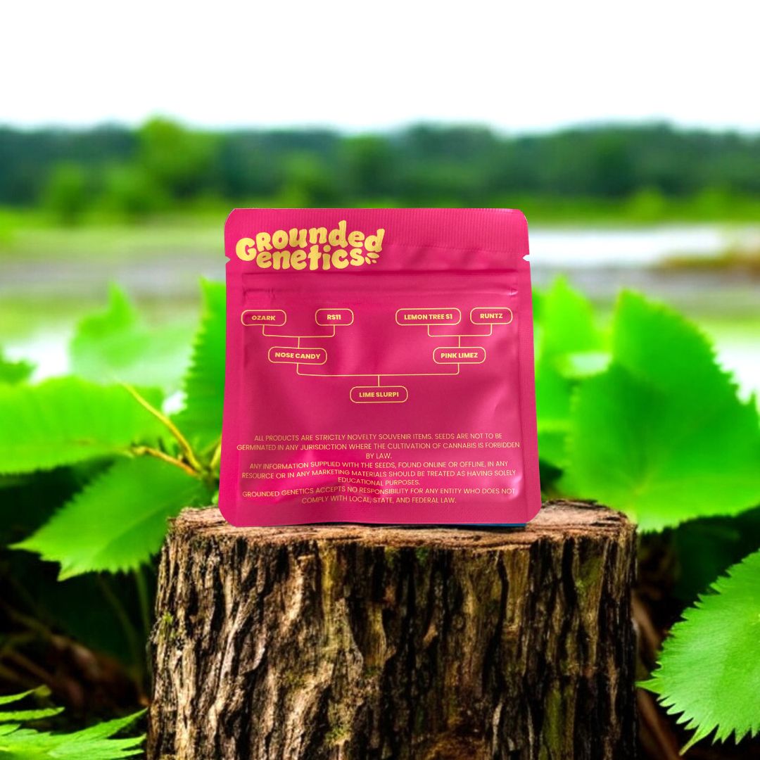 Lime Slurpi Rückseite Seed Pack Grounded Genetics