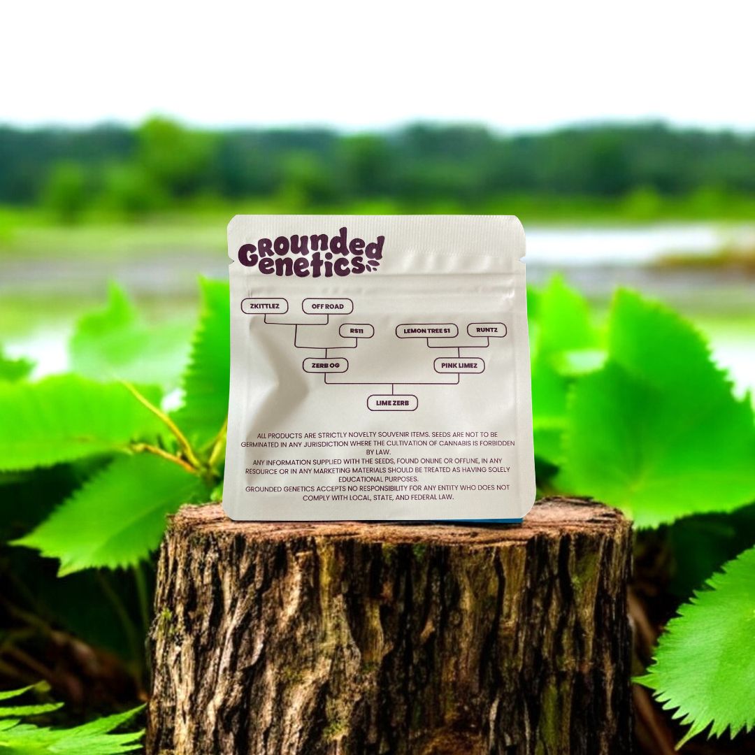 Lime Zerb Back Seed Pack auf einem Baumstamm.