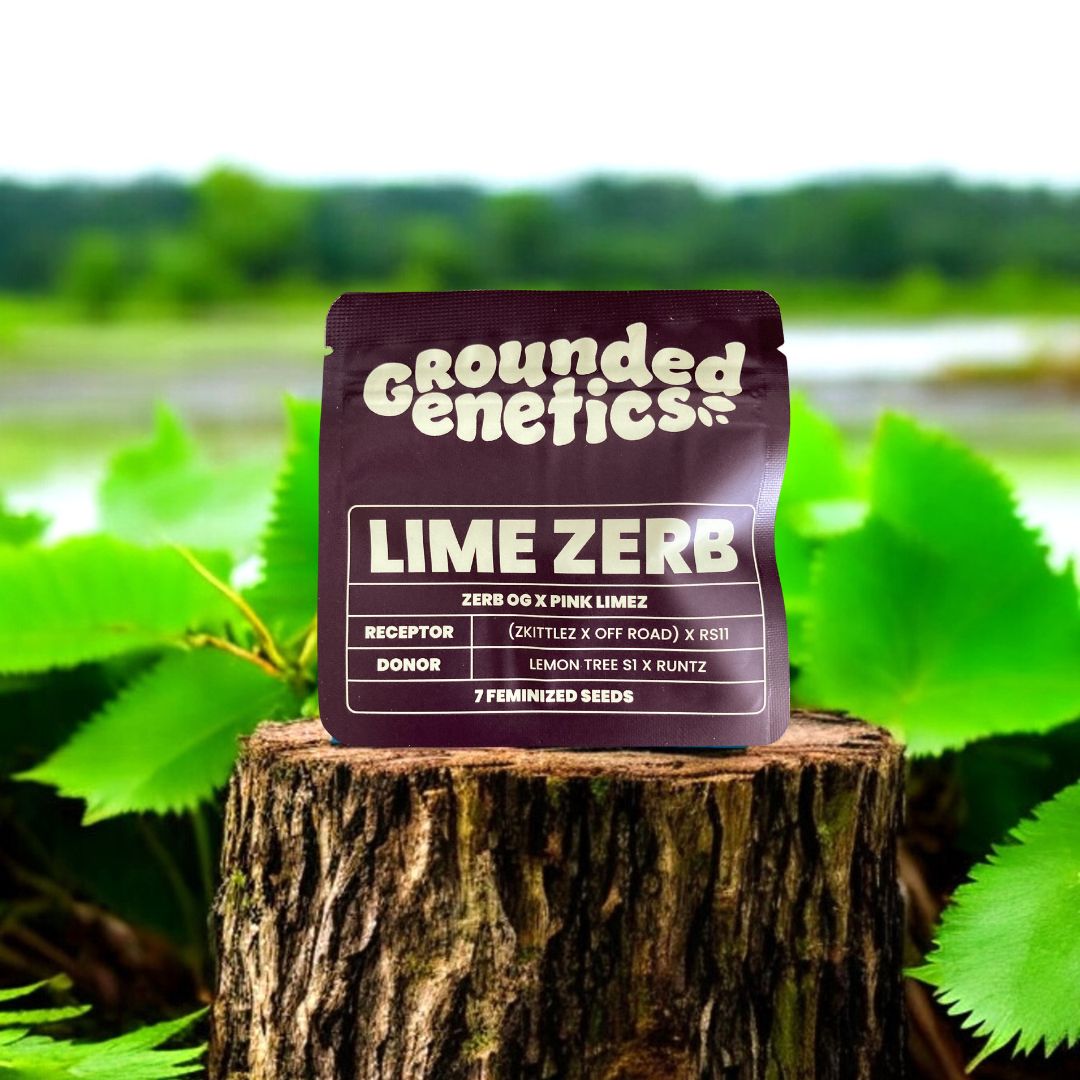 Lime Zerb Seed Pack auf einem Baumstamm