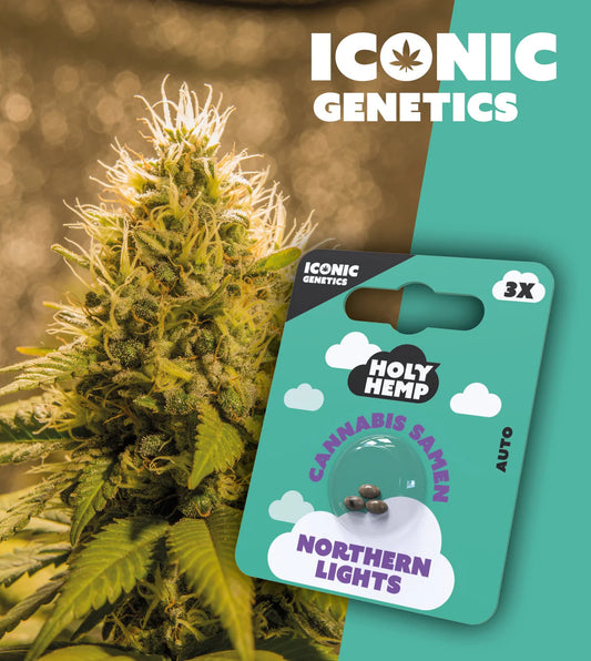 Northern Lights Iconic Genetics