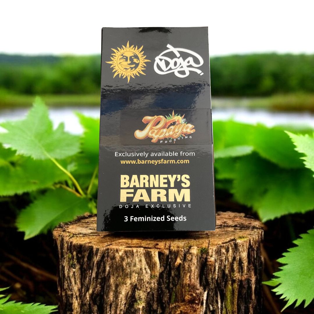 Papaya Frosting von Barneys Farm x Doja Seed Pack auf einem Baumstamm