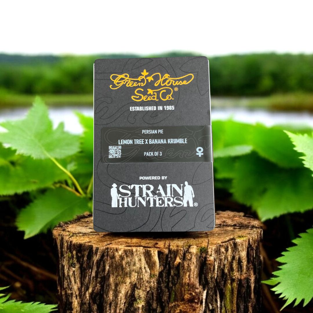 Persian Pie Seed Pack von Green House Seeds. Auf einem Baumstamm in der Natur.