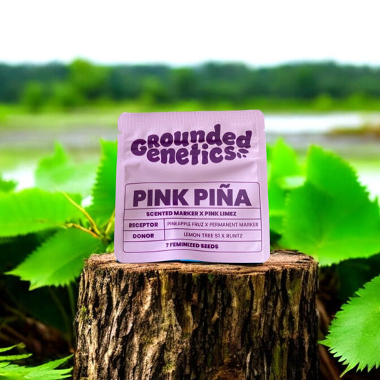 Pink Pina Seed Pack Grounded Genetics