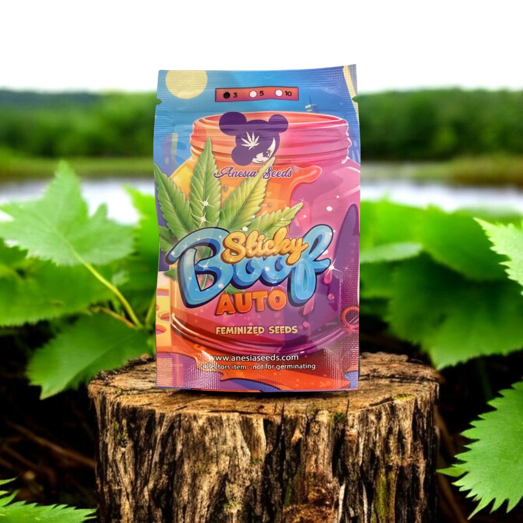 Sticky Boof Auto Seed Pack - Anesia Seeds auf einem Baumstamm