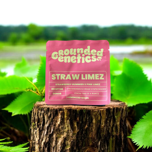 Straw Limes Seed Pack Grounded Genetics