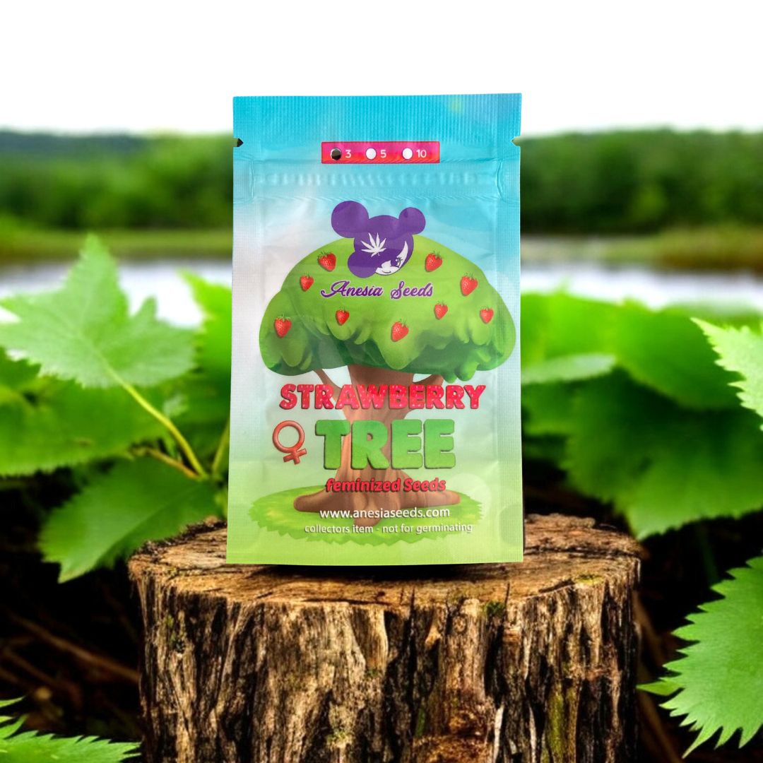 Strawberry Tree Seed Pack von Anesia Seeds. Auf einem Baumstamm in der Natur.
