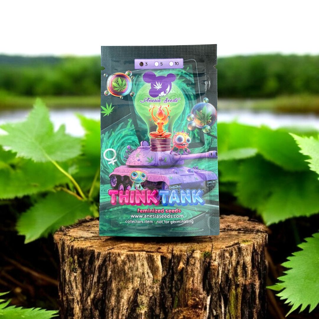 Think Thank Seed Pack von Anesia Seeds. Auf einem Baumstamm in der Natur.
