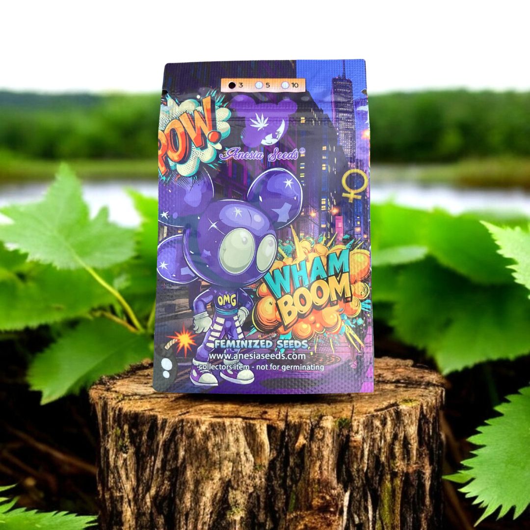 Wham Boom Seed Pack von Anesia Seeds. Auf einem Baumstamm in der Natur