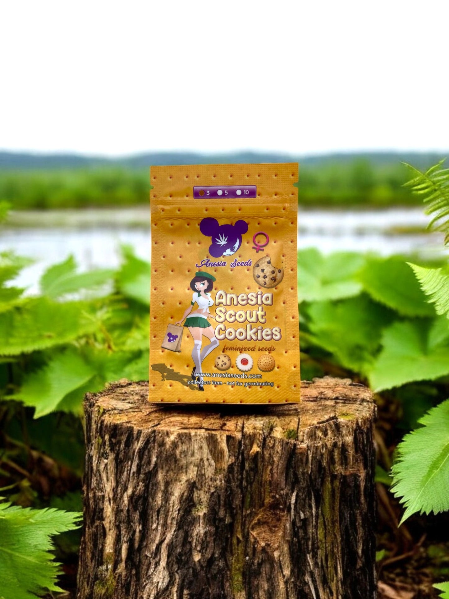 Anesia Scout Cookies Packung auf einem Baumstamm