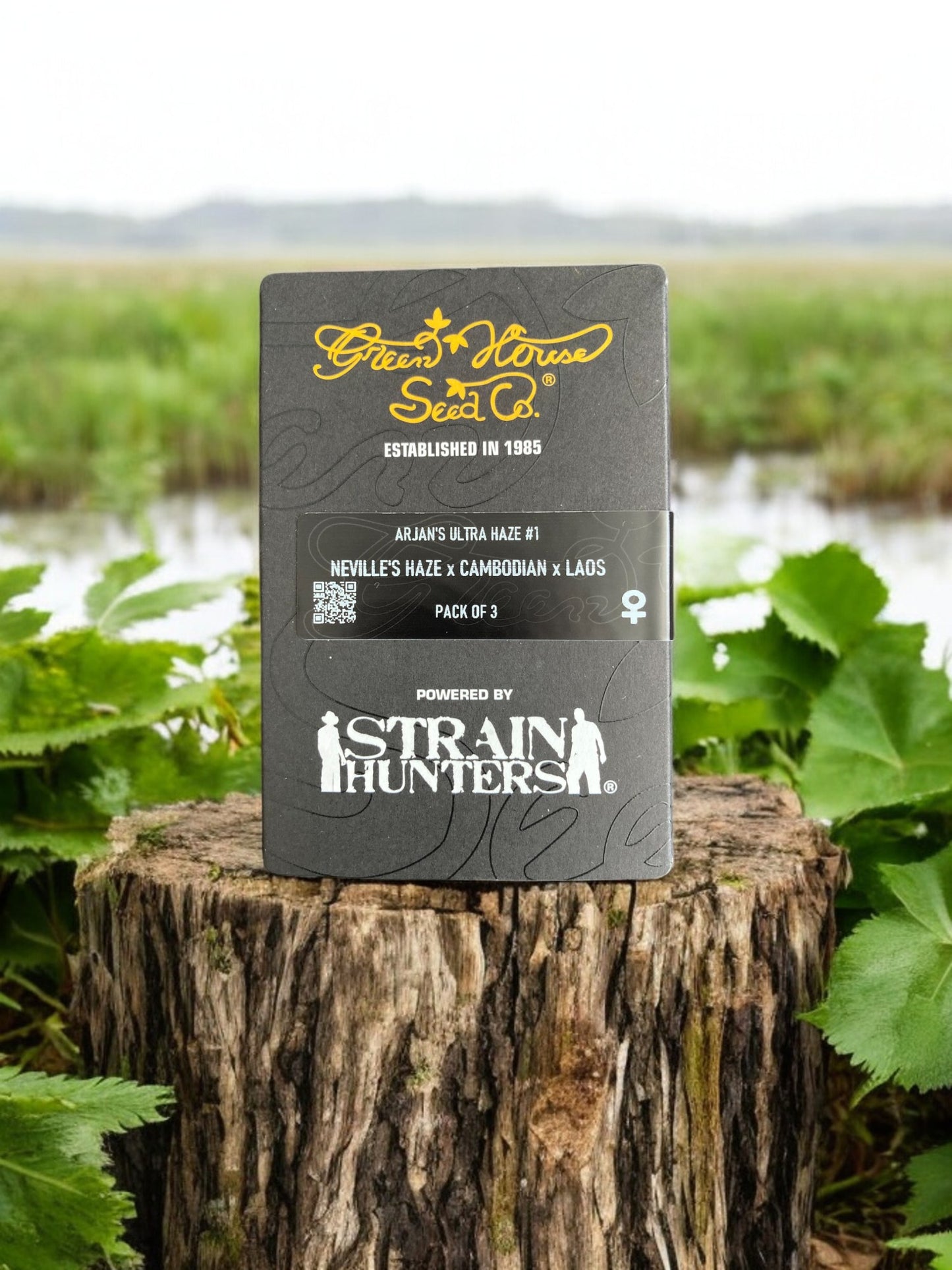 Arjans Ultra Haze #1 Packung von Green House Seeds auf einem Baumstamm