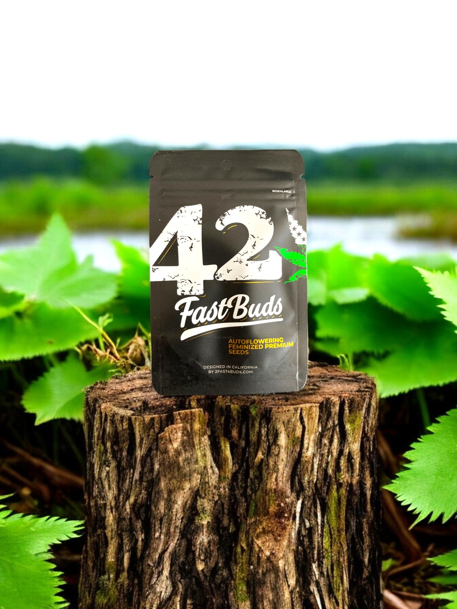 autoflower seeds von fast buds verpackung