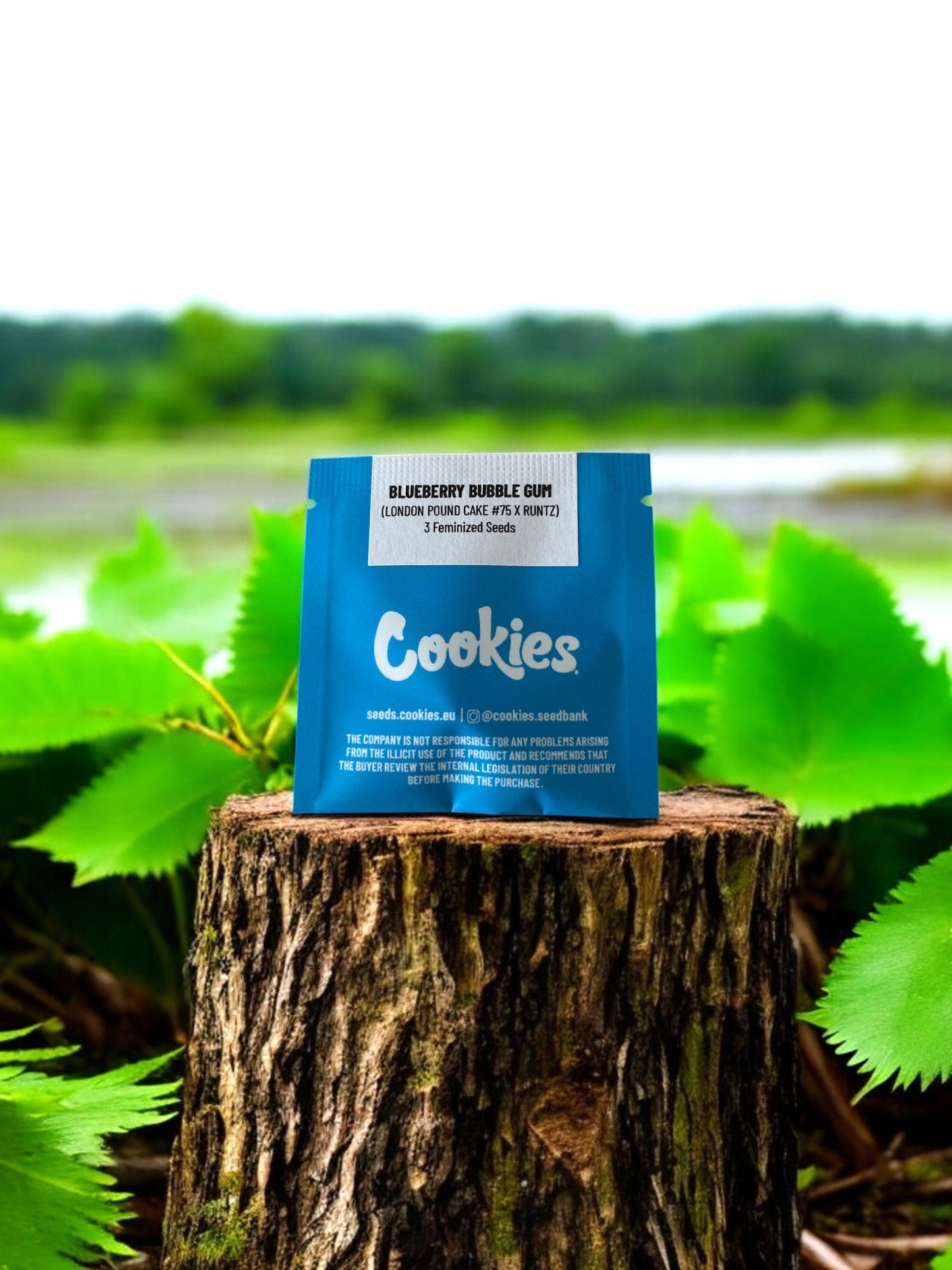 blueberry bubble gum pack