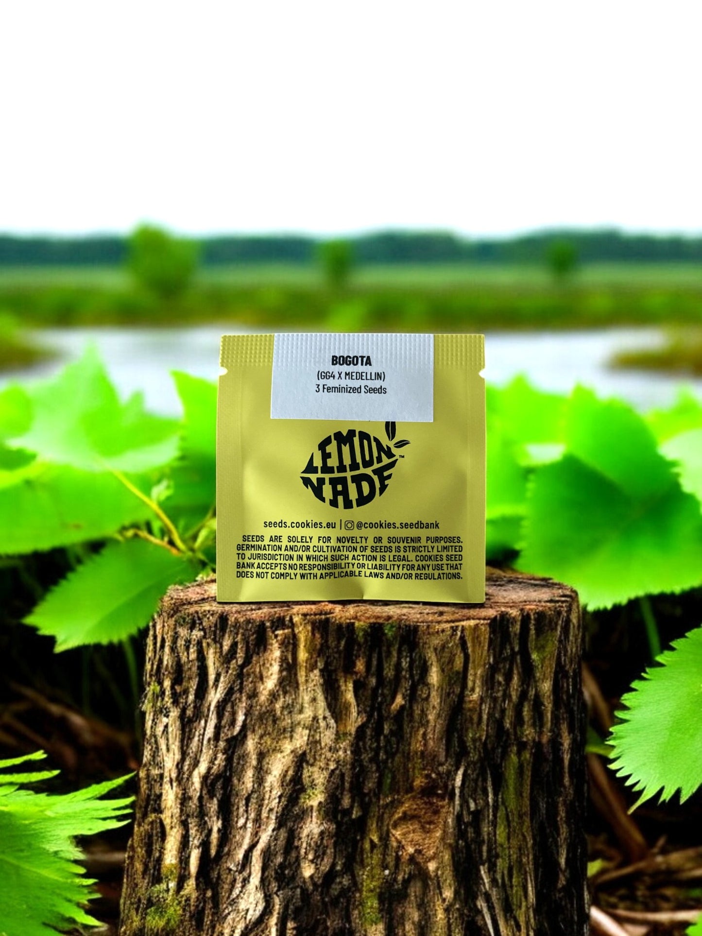 Bogota Packung von Cookies Seeds auf einem Baumstamm