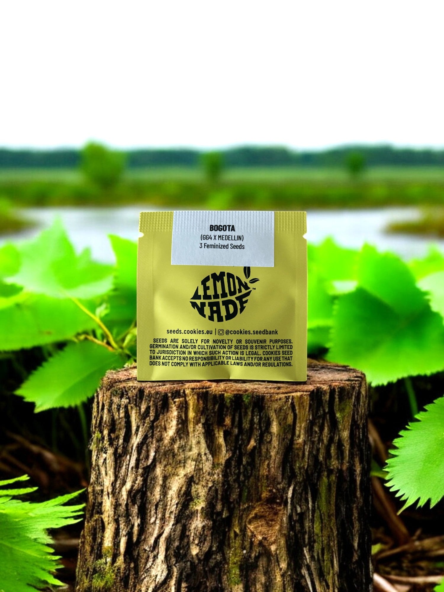 Bogota Packung von Cookies Seeds auf einem Baumstamm