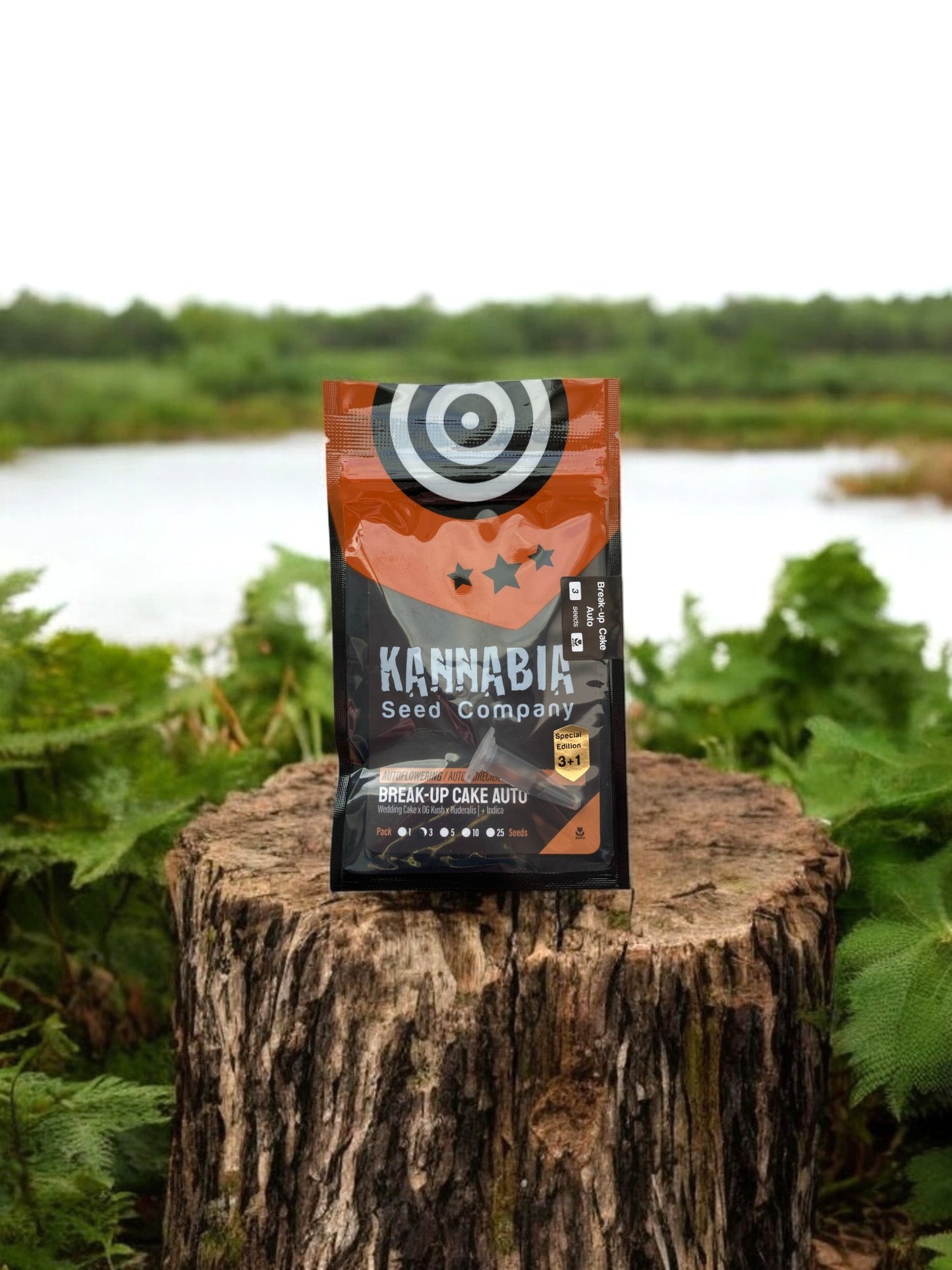 Break up Cake Auto von Kannabia an einer Flusslandschaft mit Packung auf einem Baumstamm