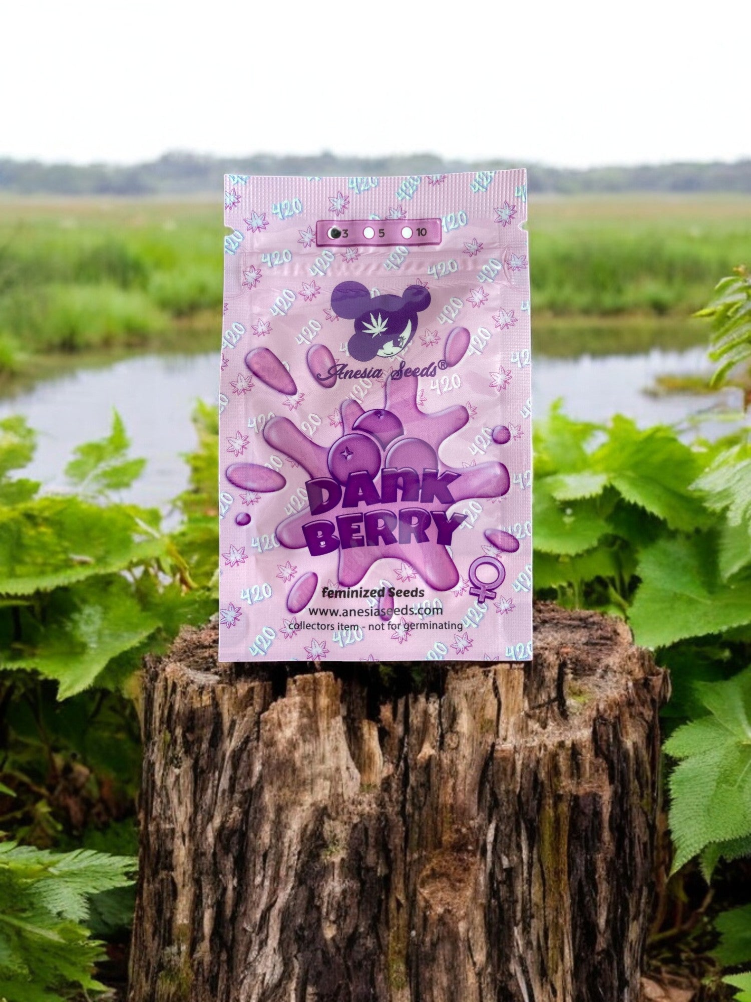 Dank Berry Packung von Anesia Seeds auf einem Baumstamm