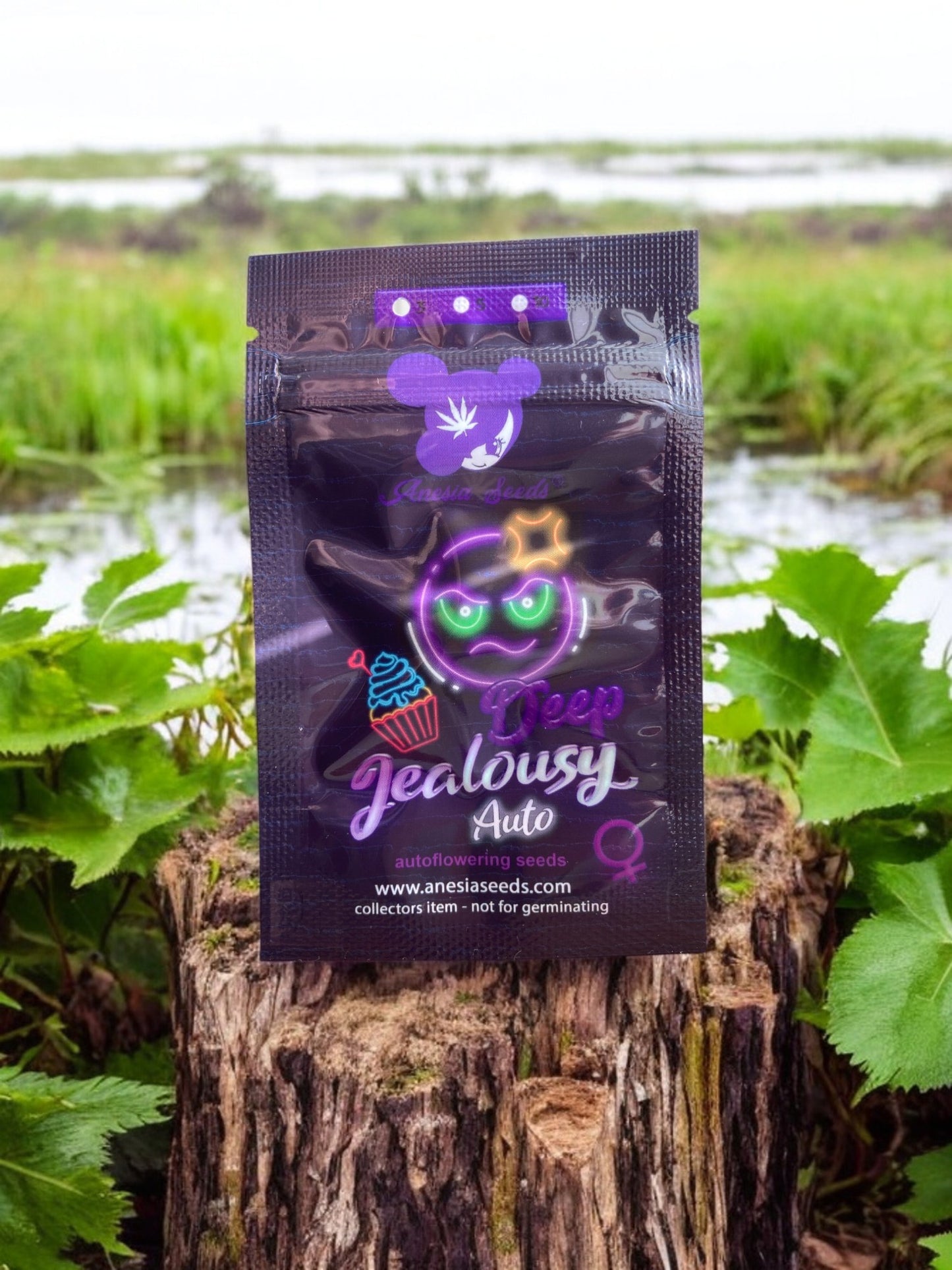 Deep Jealousy Packung von Anesia Seeds auf einem Baumstamm