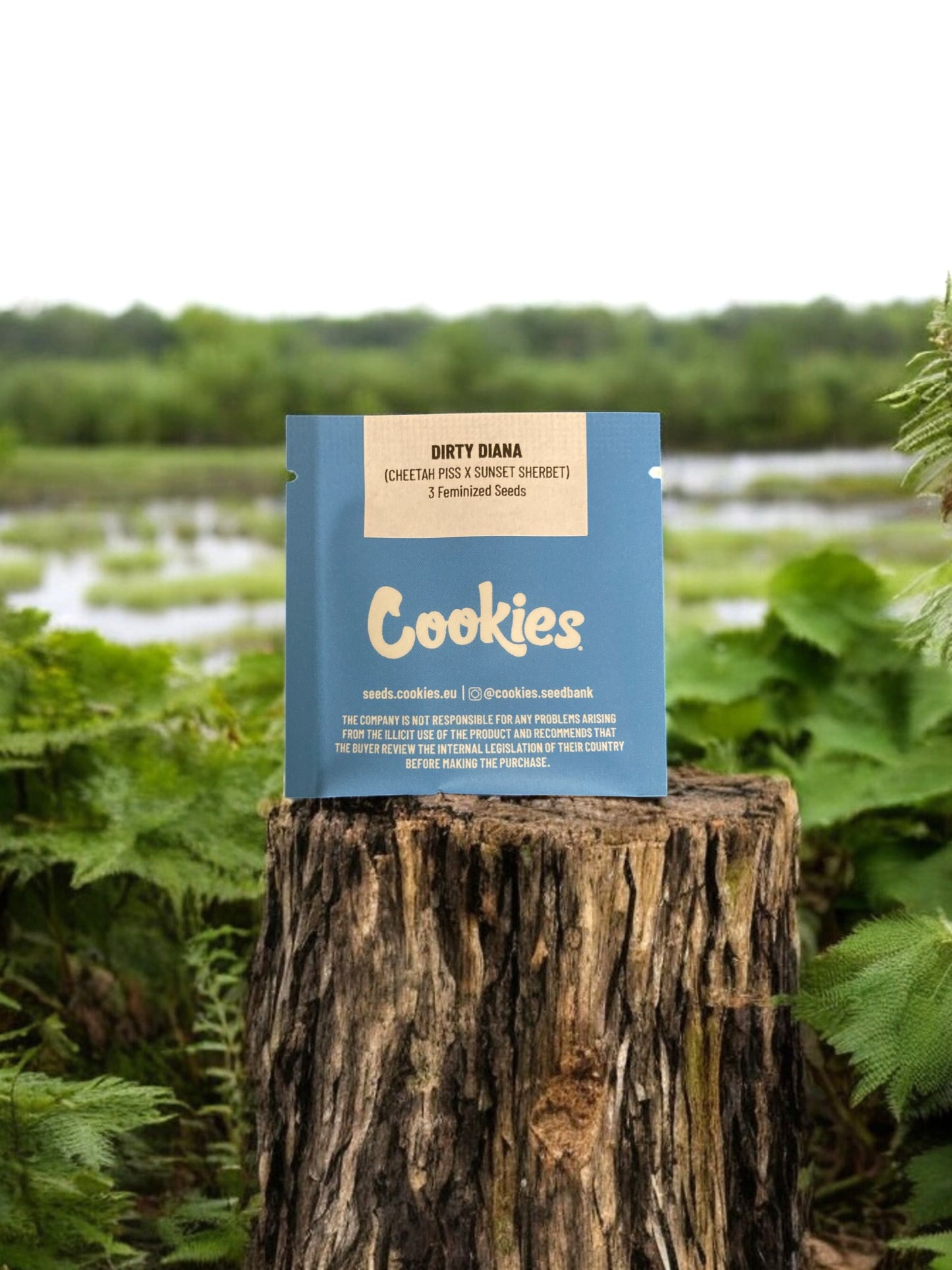 Dirty Diana Packung von Cookies Seeds auf einem Baumstamm