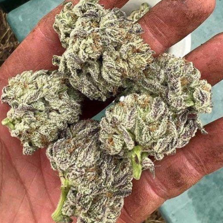 double_fire_headband_2