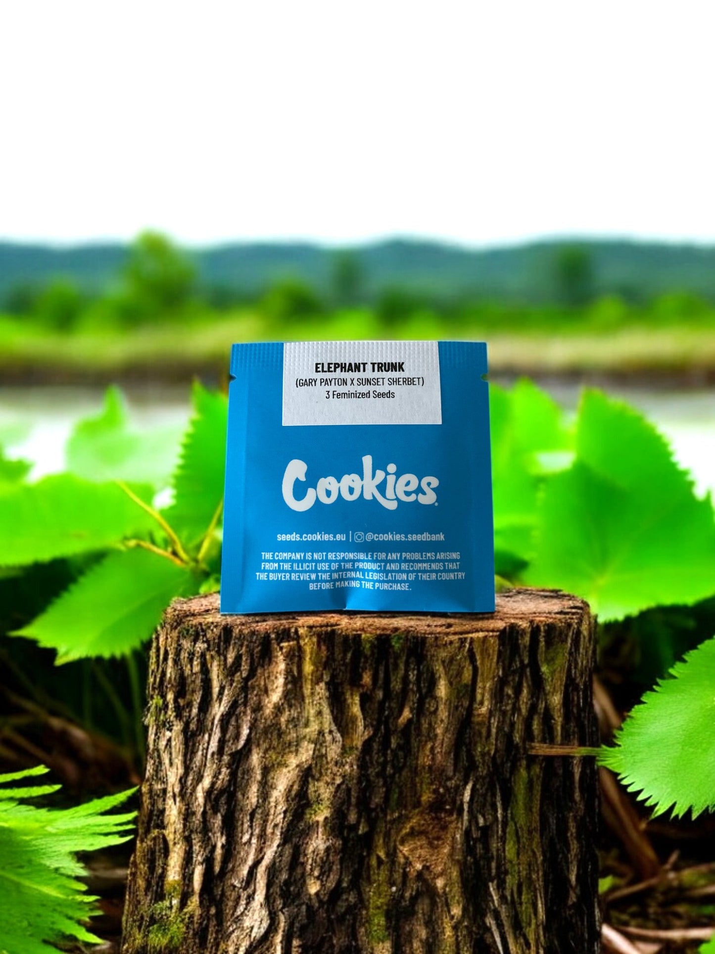 Elephant Trunk Packung von Cookies Seeds auf einem Baumstamm