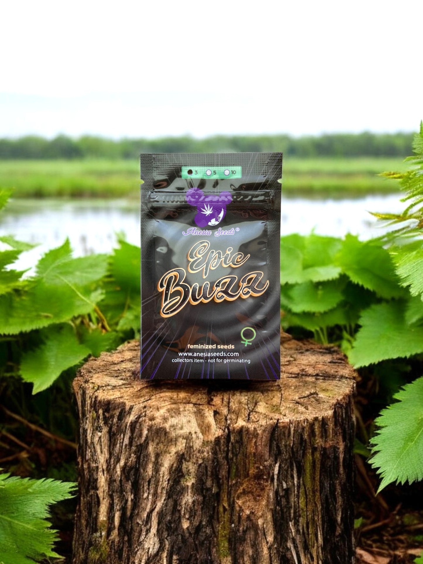 EPIC BUZZ® (fem.)