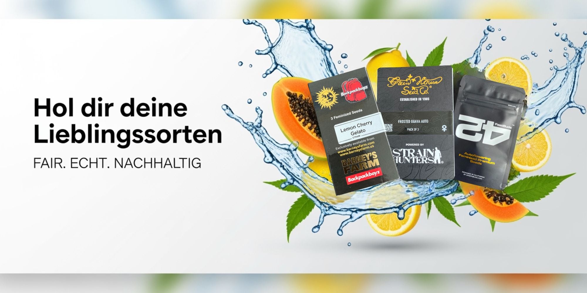 Exotische Körner für deinen Garten bei Less Organix