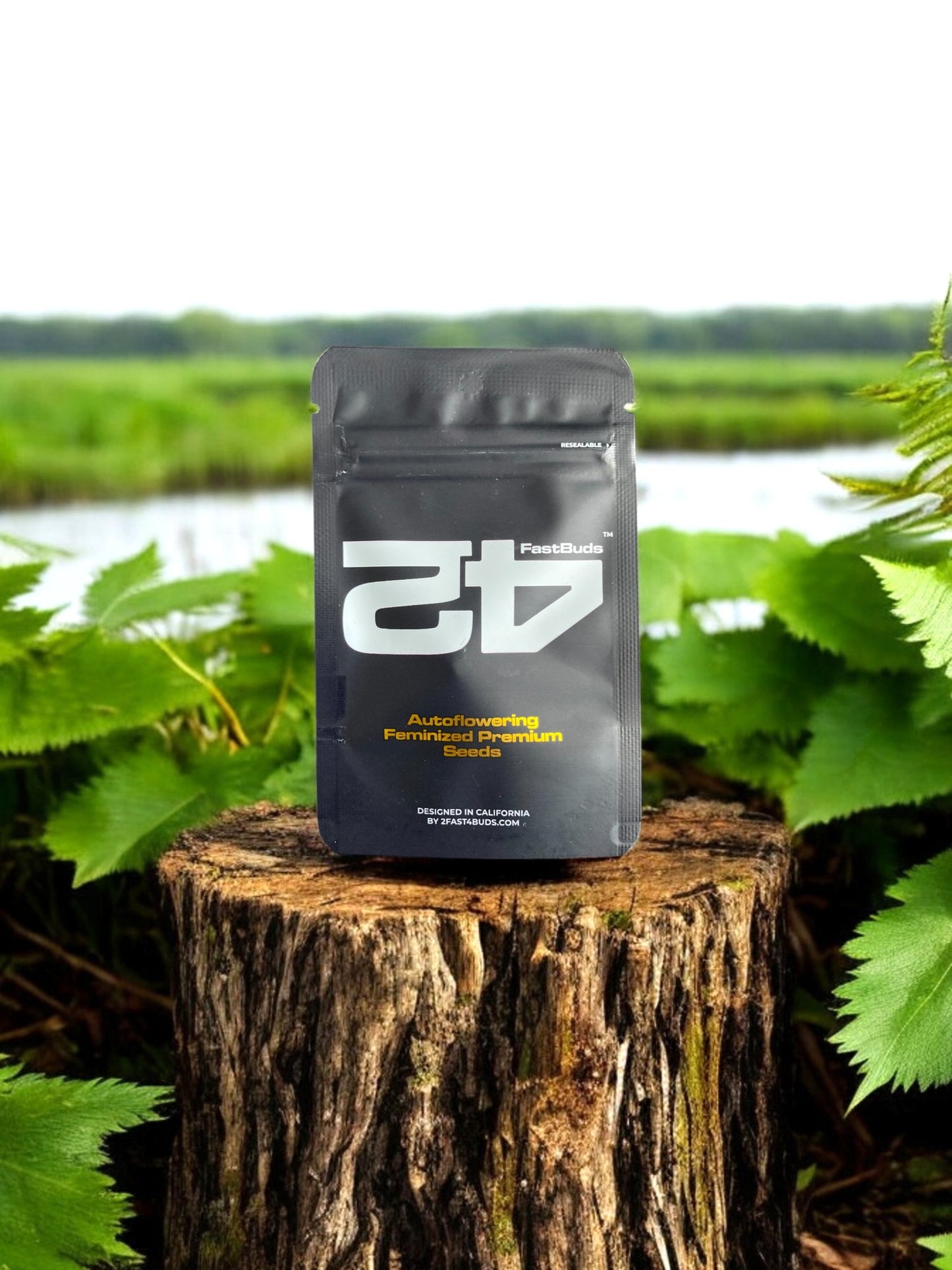 fast buds autoflower seeds