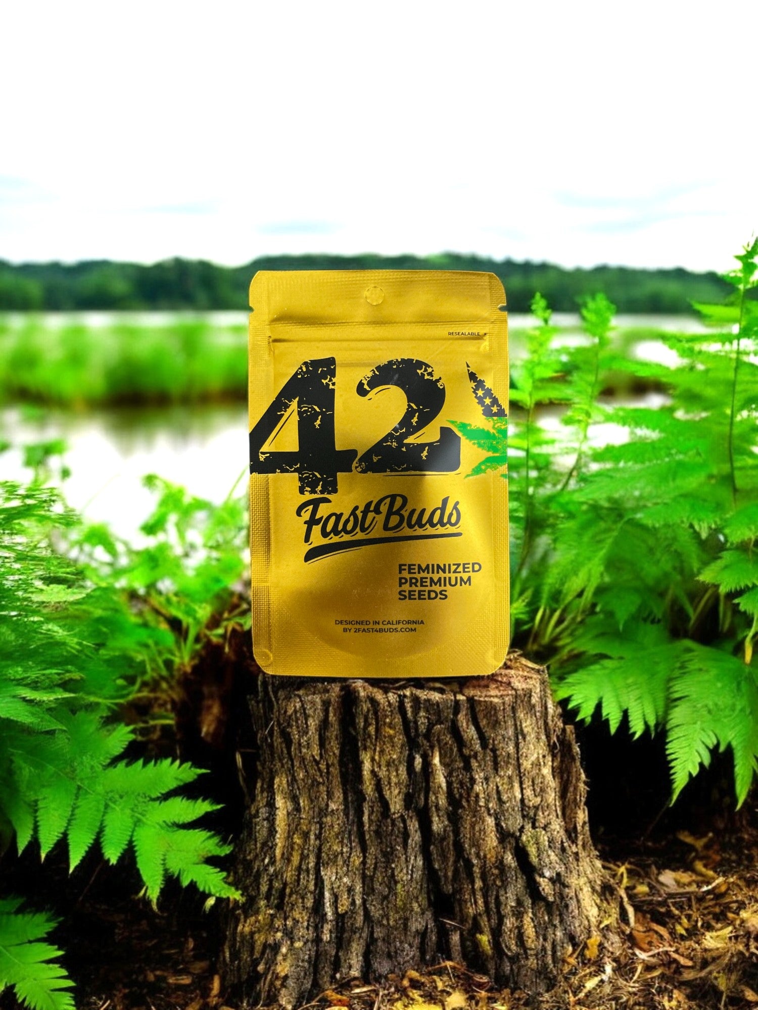 feminized seeds von fast buds