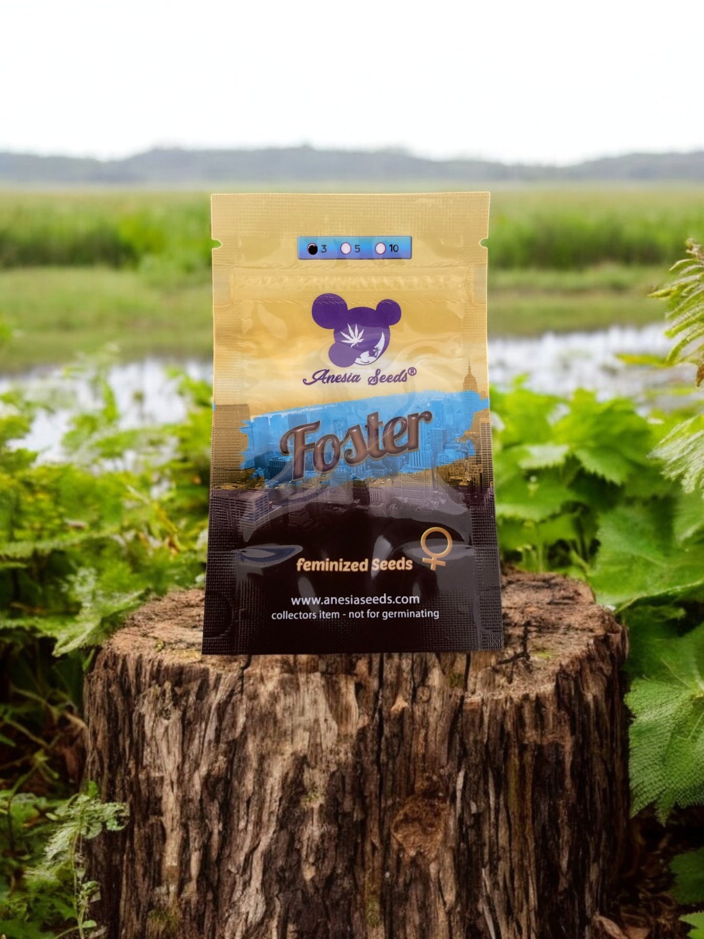 Foster Packung von Anesia Seeds auf einem Baumstamm