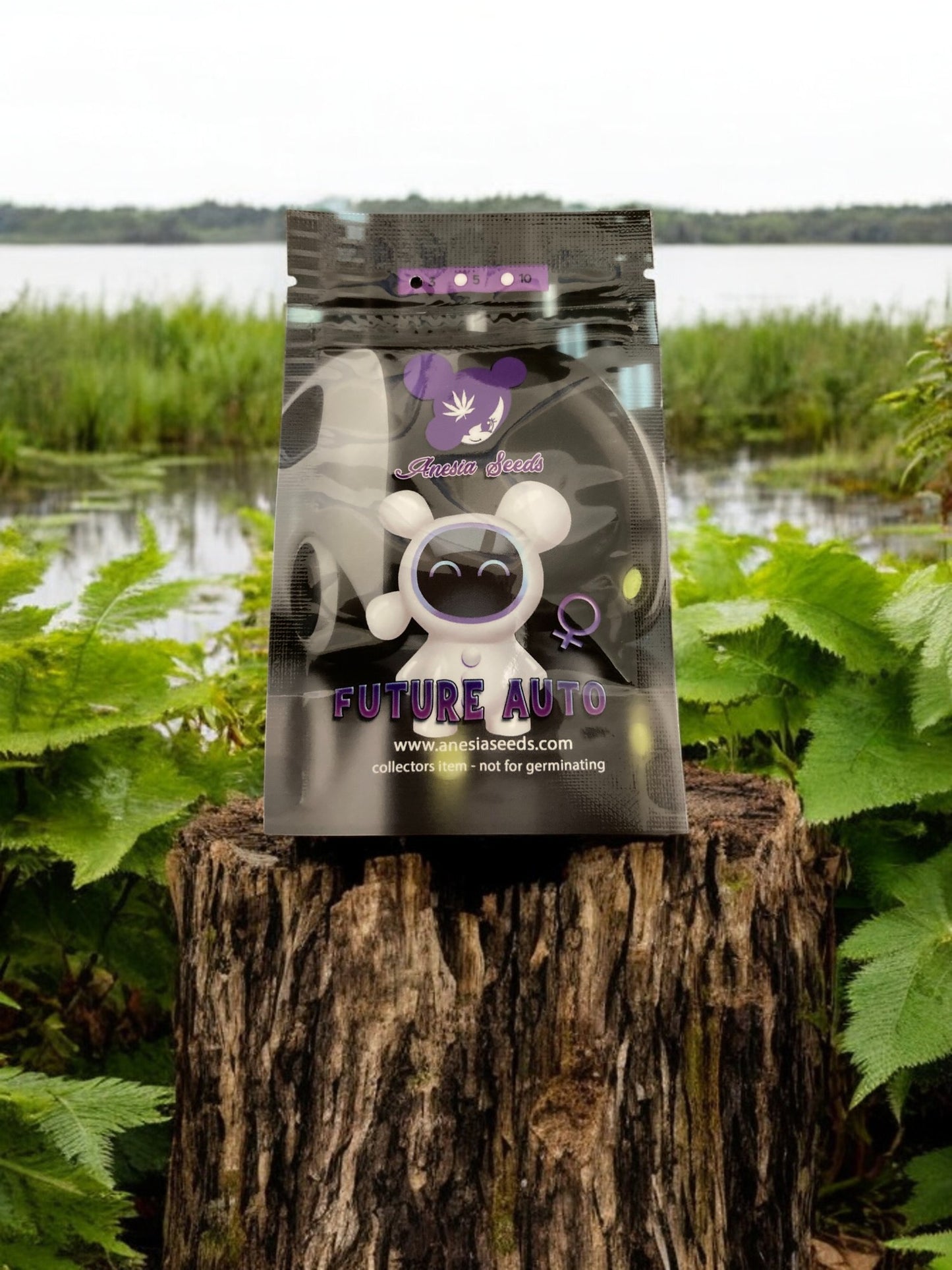 Future Auto Packung von Anesia Seeds auf einem Baumstamm
