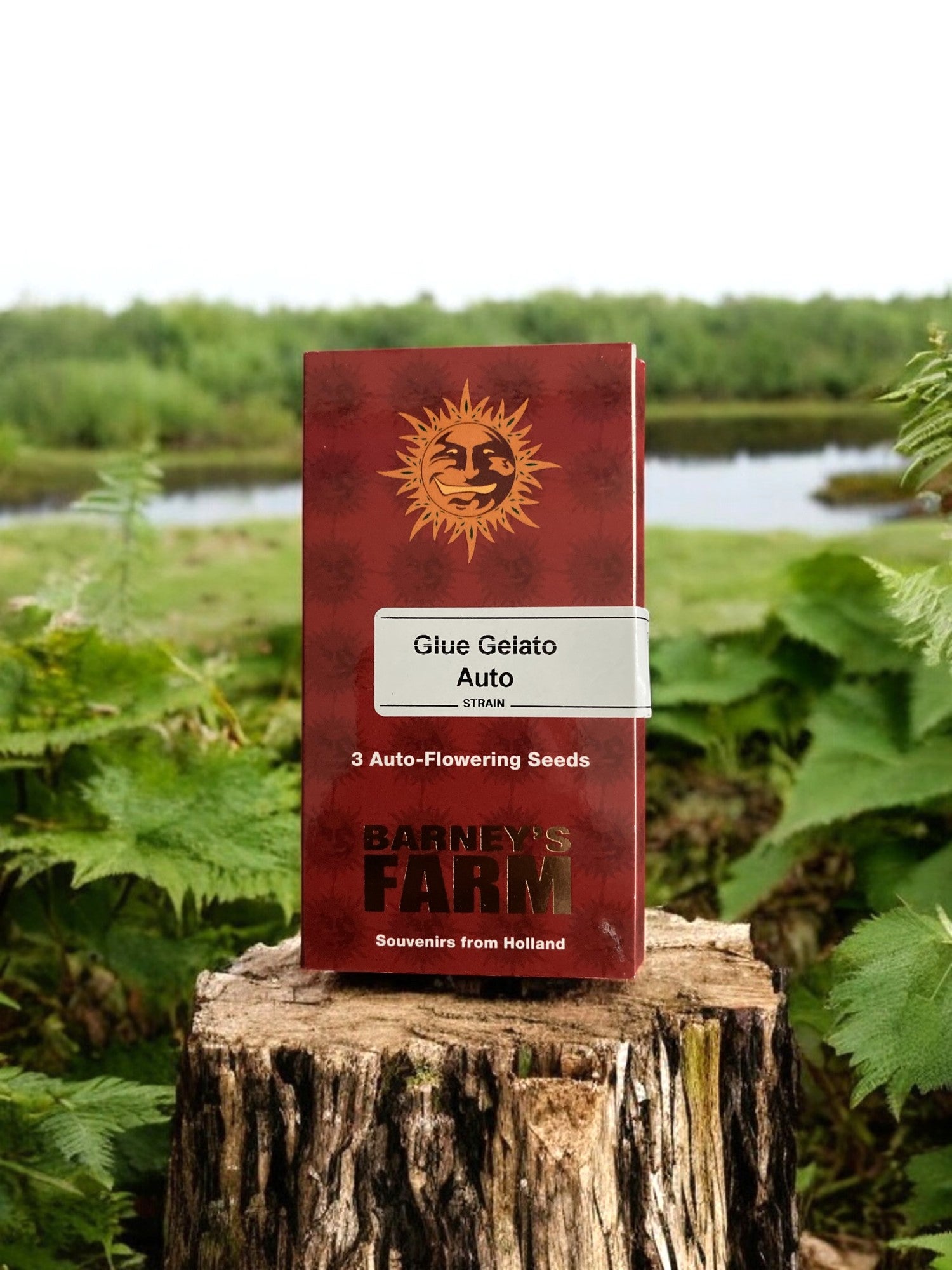 Glue Gelato Auto Packung von Barneys Farm auf einem Baumstamm