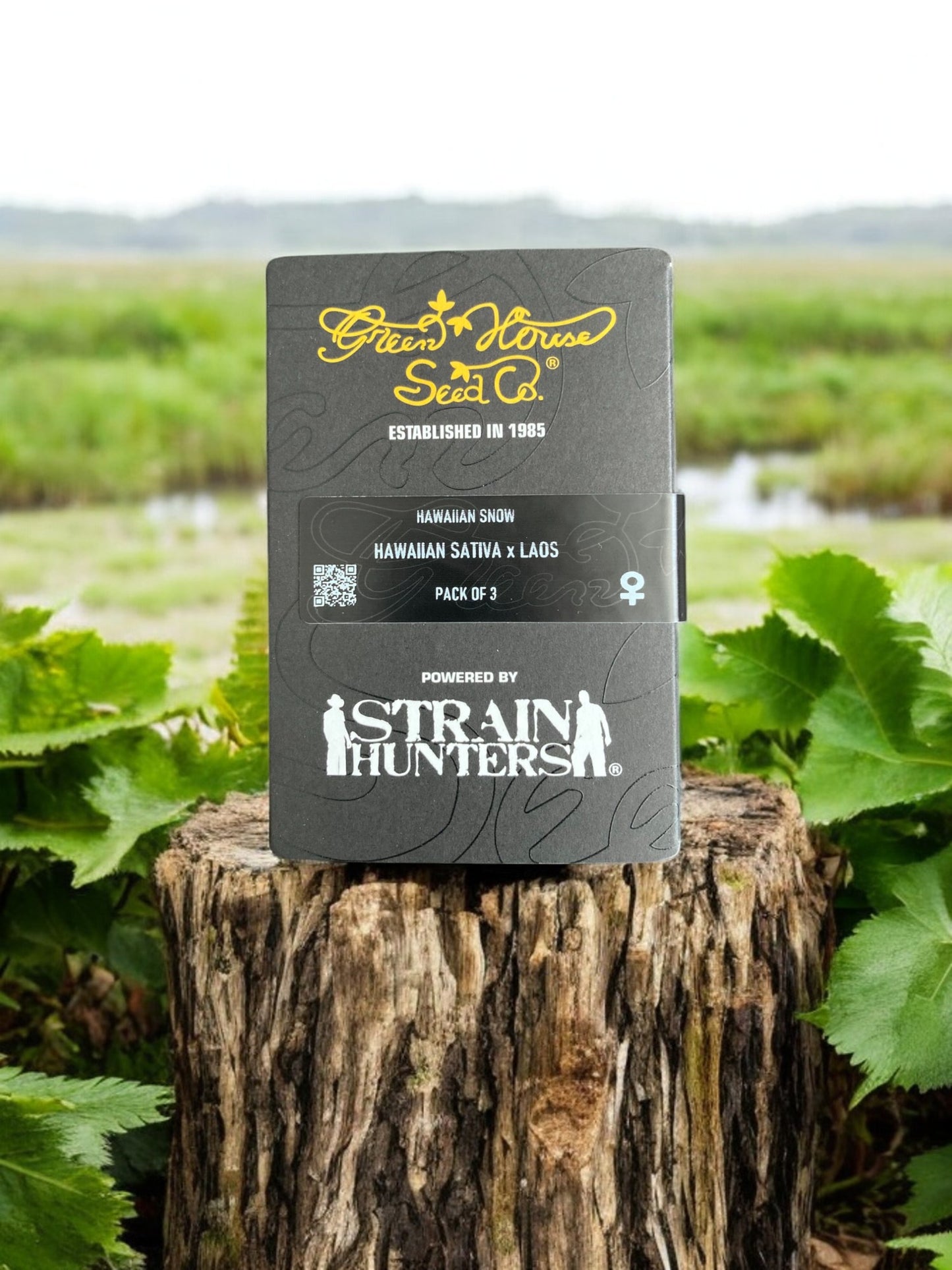Hawaiian Snow Packung von Green House Seeds auf einem Baumstamm