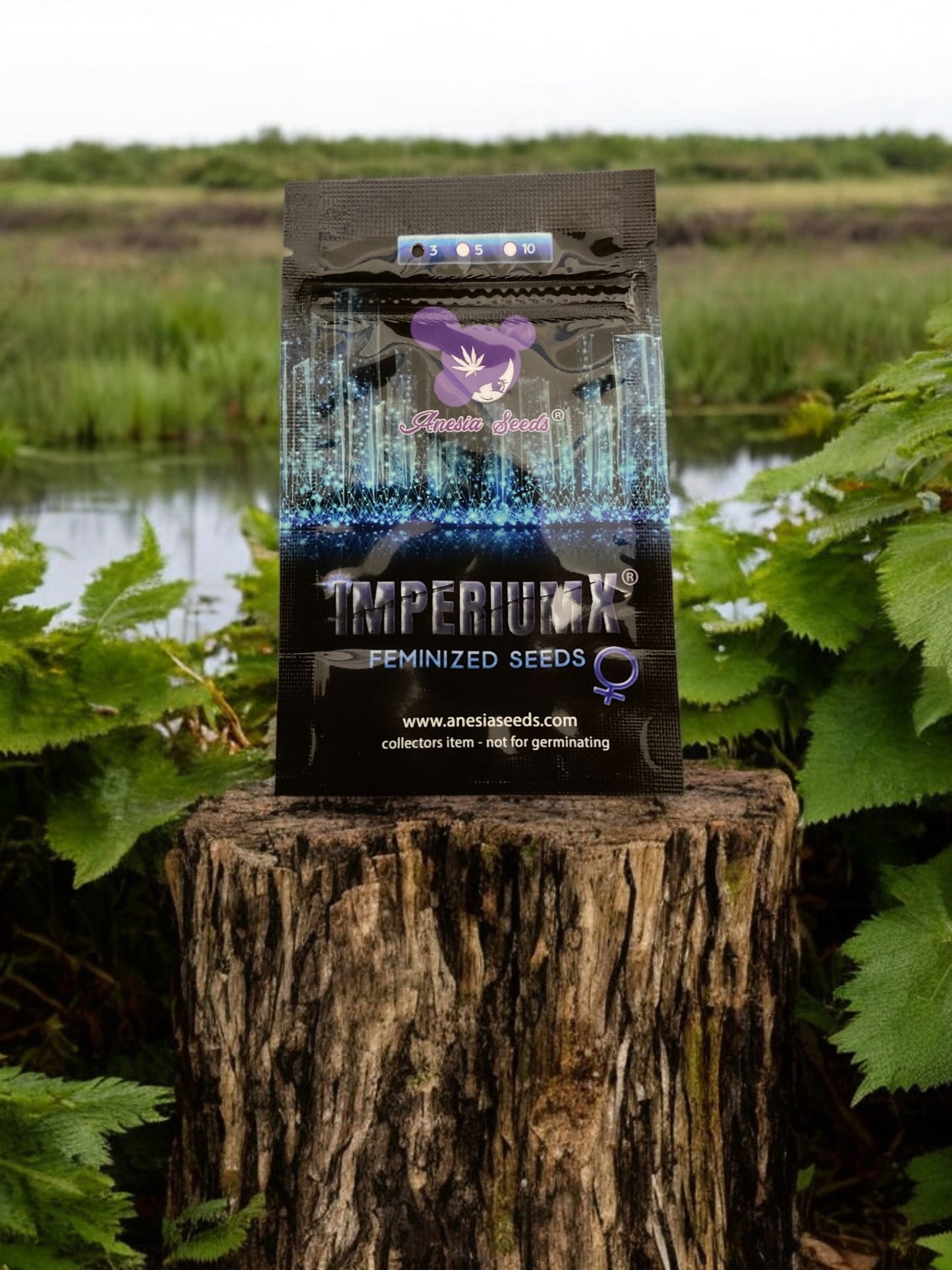 Imperium X Packung von Anesia Seeds auf einem Baumstamm