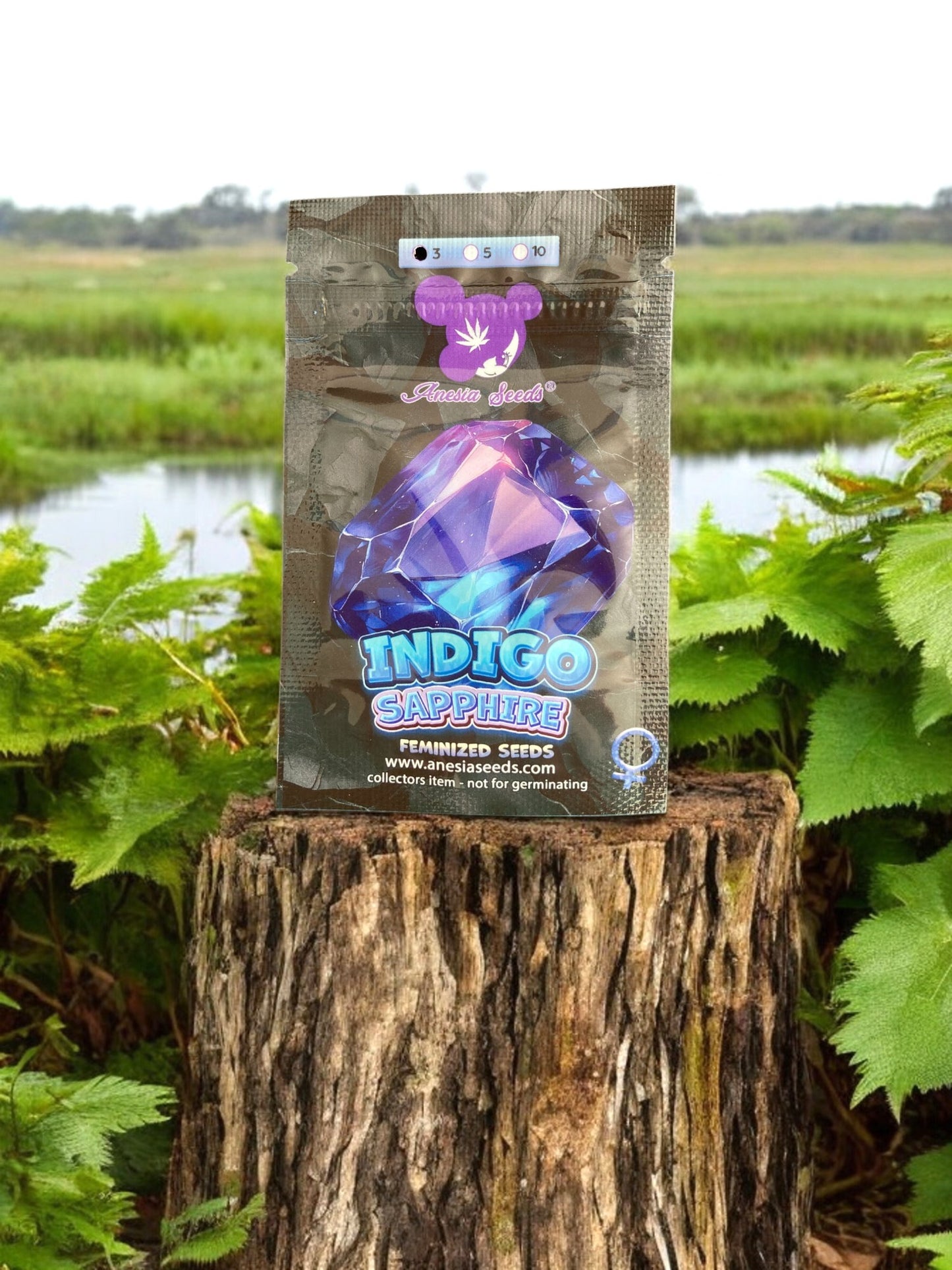 Indigo Sapphire (fem.)