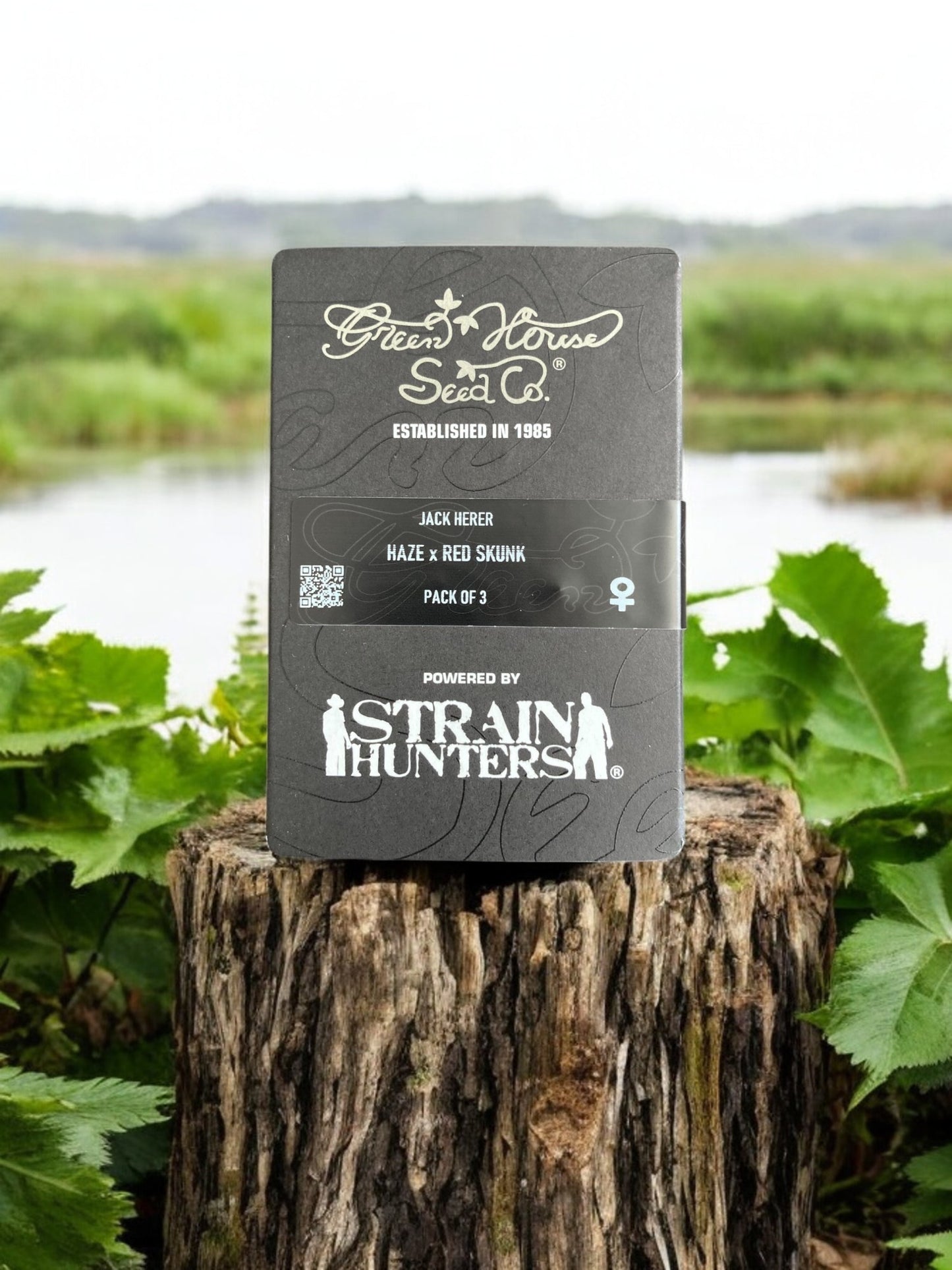 Jack Herer Packung von Green House Seeds auf einem Baumstamm